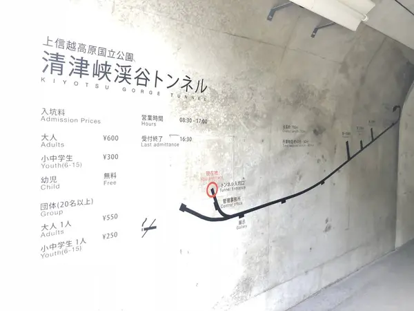トンネル全体図