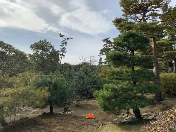 庭園