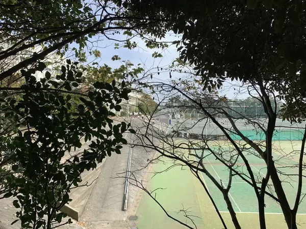 隣は大磯中学