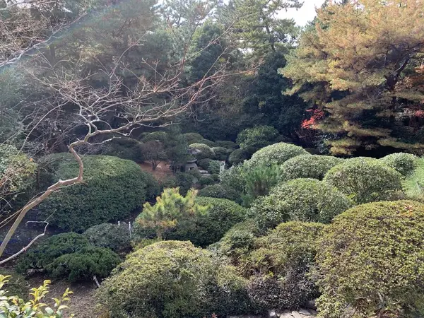 庭園