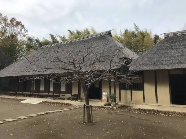 茅葺き屋根と