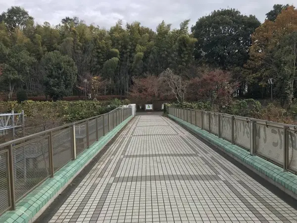 遺跡に向かいます。