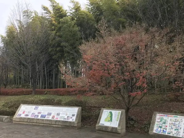 遺跡到着です♪