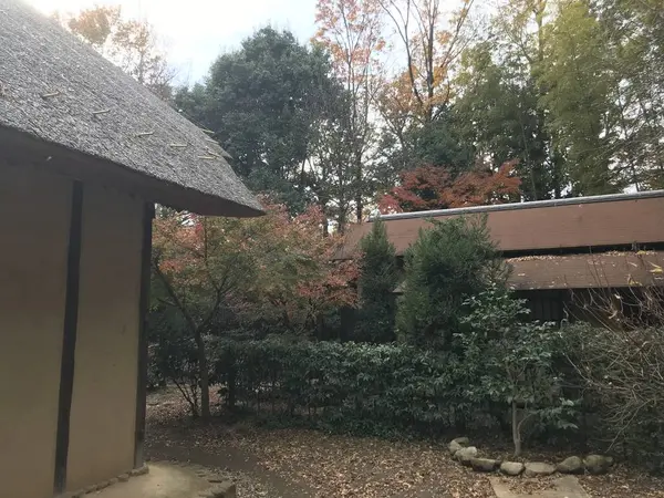 何故か、母屋の裏って撮っちゃいますw