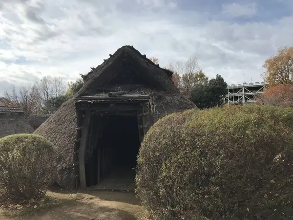 大きさは、マチマチ。