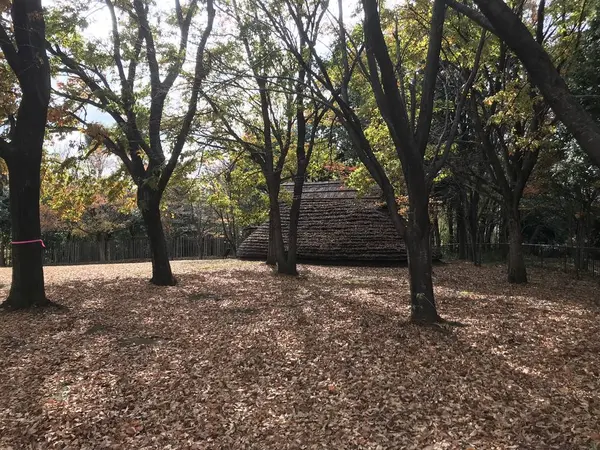 森と竪穴式住居
