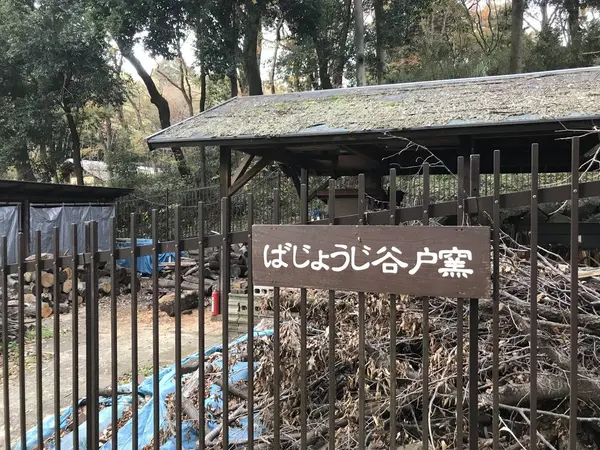 ばじょうじ谷戸