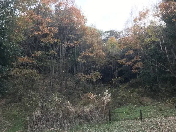 谷戸に降りました。