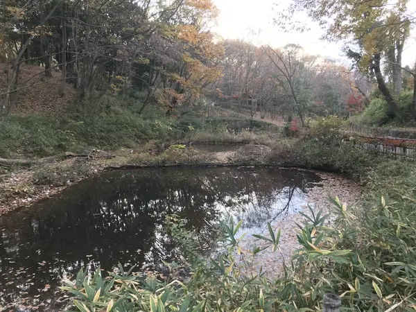 と、まぁ、谷戸の説明はココら辺で