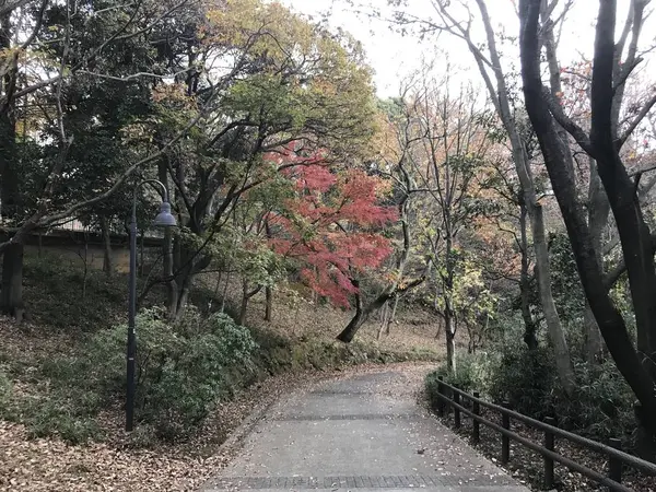 メインの通りは歩きやすいです。