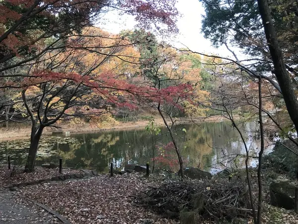 美しい景色が広がってます。