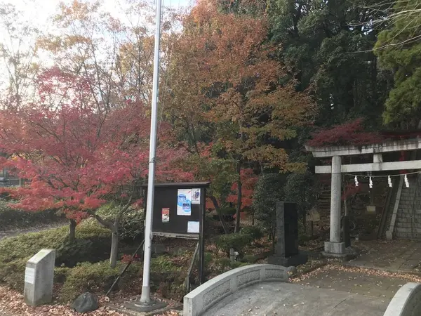 紅く燃え立つ、木々が美しいです。