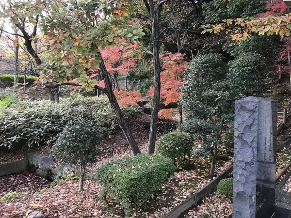 ん〜、画像からは、あまり・・・