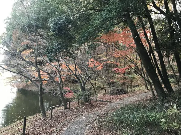 宮谷戸を左折
