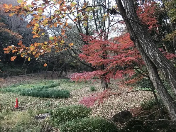 谷戸の先は、野外ステージです。