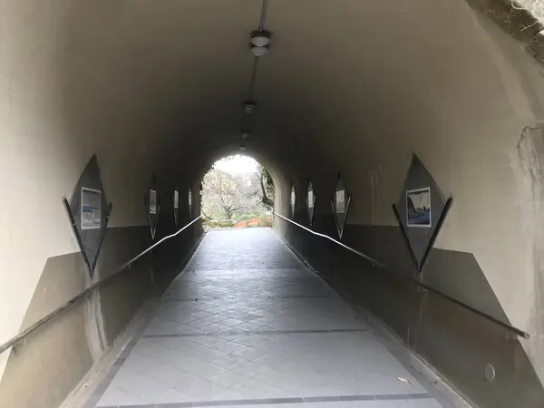 金沢文庫から称名寺