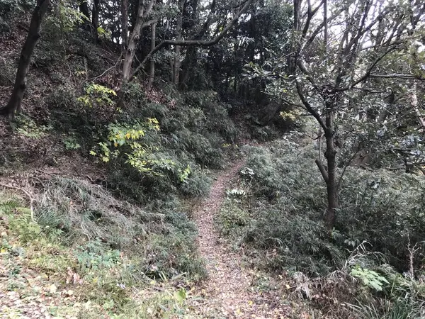 墓所前は分かれ道