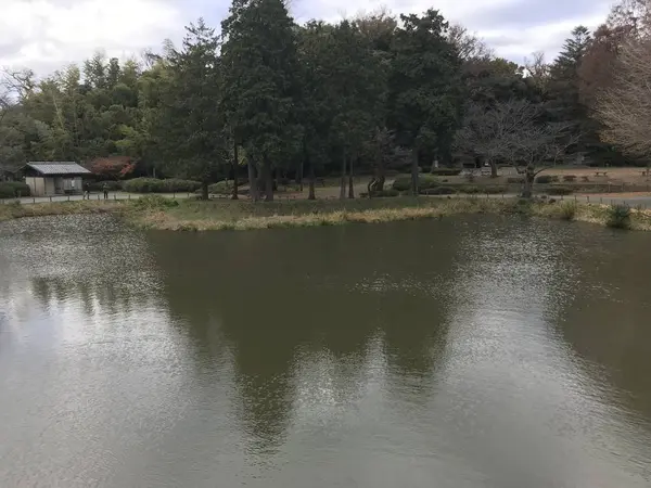 結構広い池です。