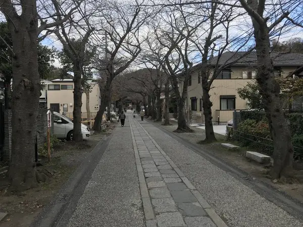 結構長い参道です。
