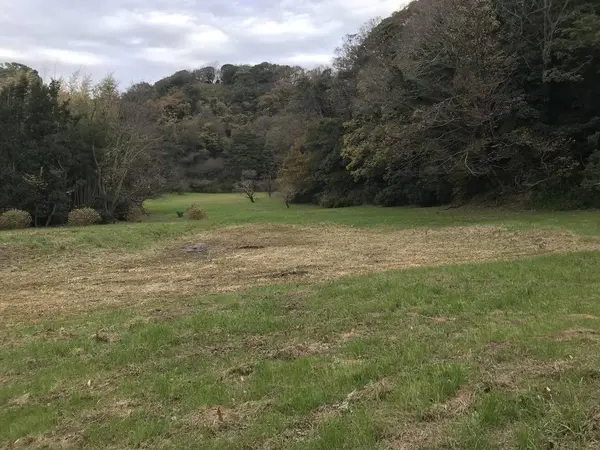 草原ですが・・・
