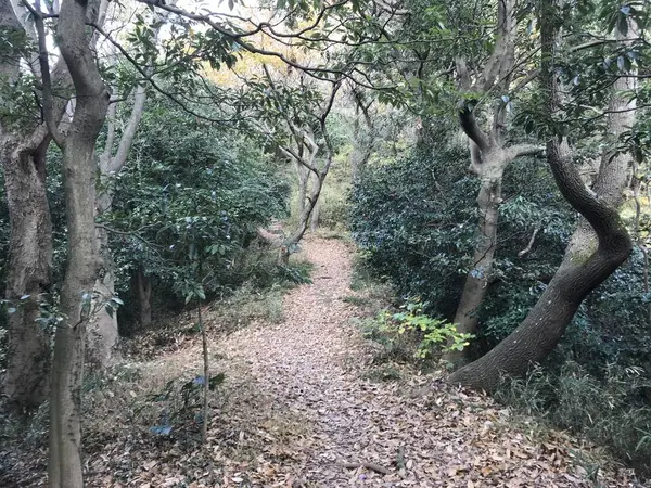広場に出ました。
