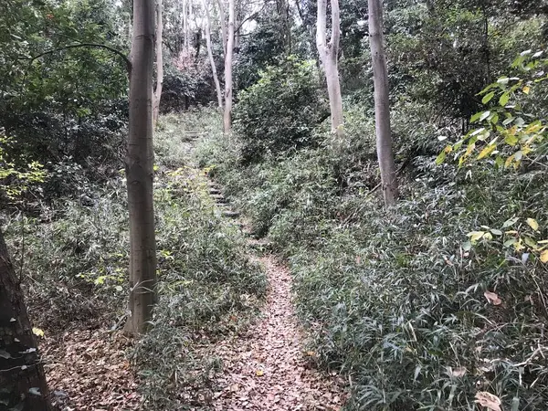 反対より、確実に酷いだろw