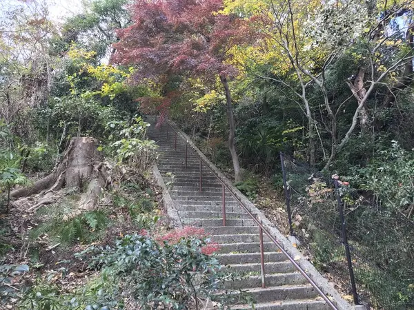 称名寺市民の森を下りました。
