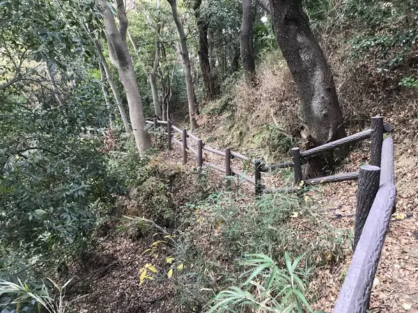 カサカサ音がしたら？