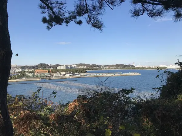 坂途中の眺め