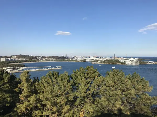 展望台からの眺め