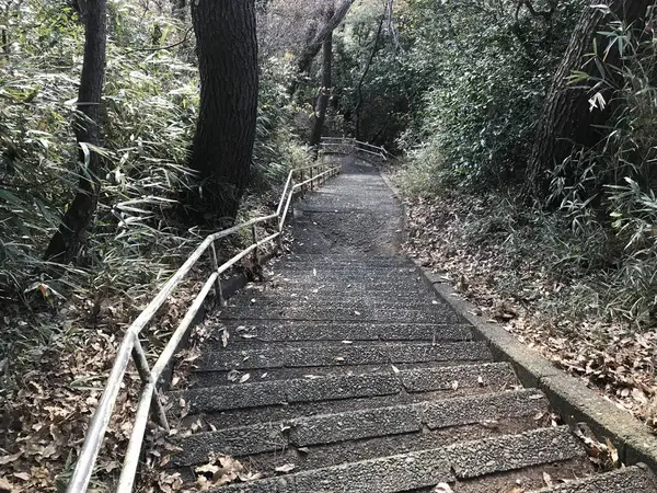 自然海岸方面に下ります。