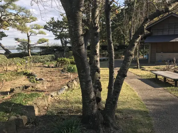 此方側はよく整備されてます。