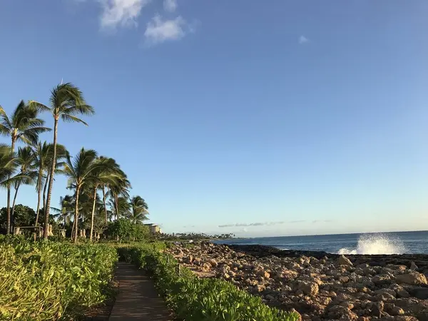 海岸沿いをお散歩