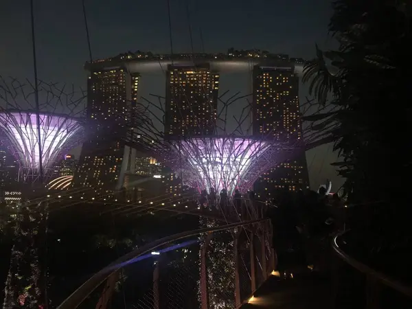 夜景も素敵