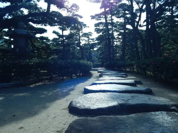 披雲閣庭園