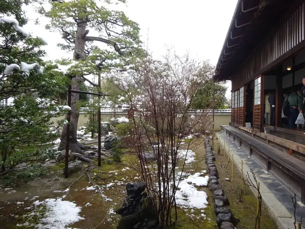 地中から球を掘り出した…！