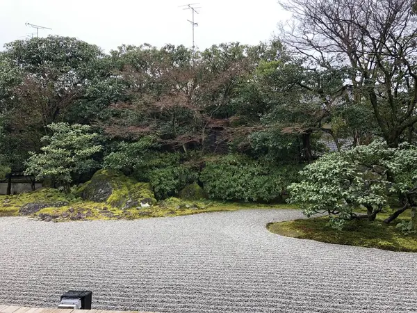 南庭