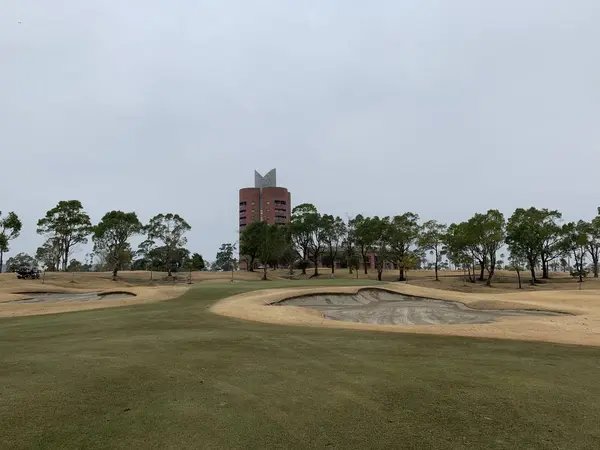 アウトの和木