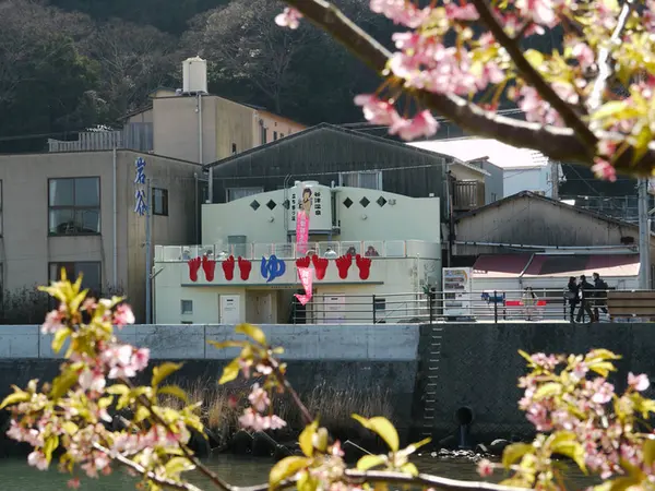 対岸からの足湯外観