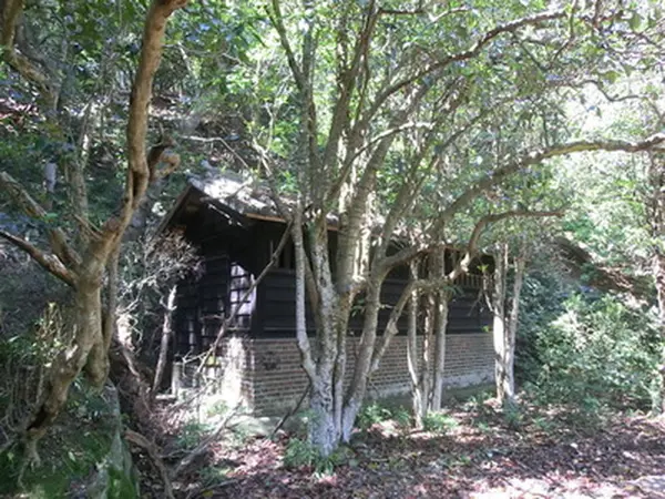 黒色の建物
