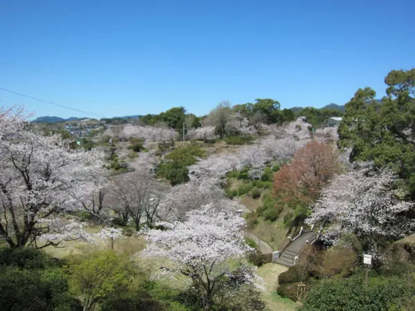 菊池公園を観月楼の方から