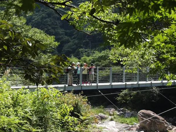 石垣の村のトロッコ道