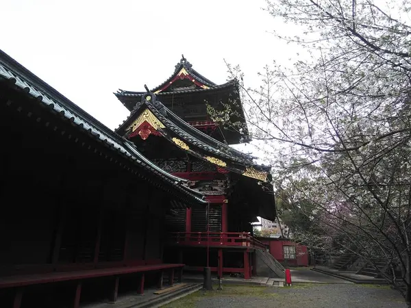 桜に彩られて…
