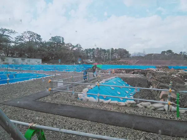 発掘調査が見学できるみたいです