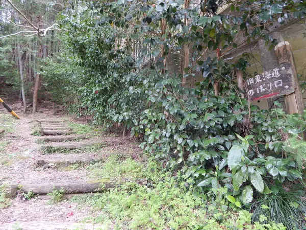 西へ続く旧東海道