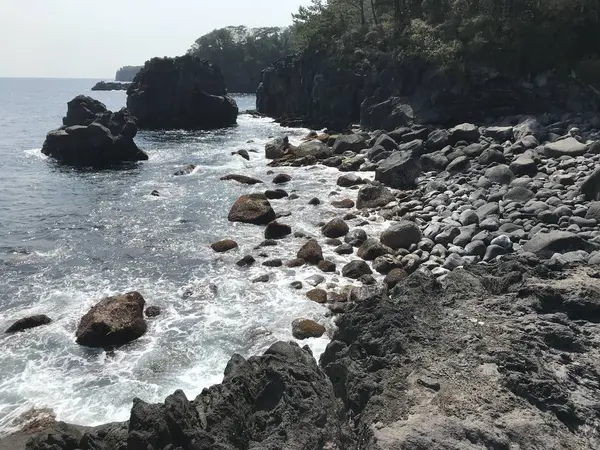 海洋公園まで軽くハイキング