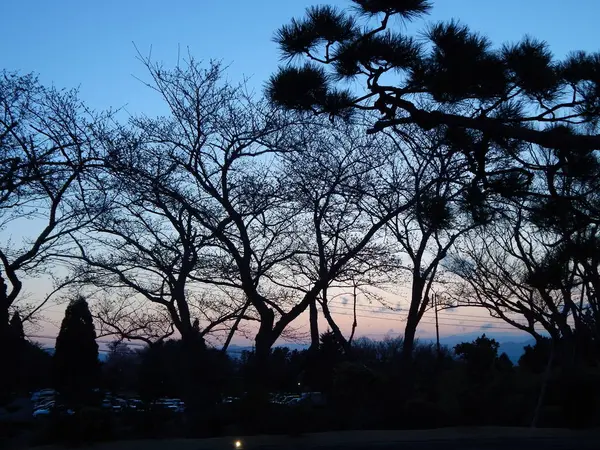 早朝の風景もGOOD