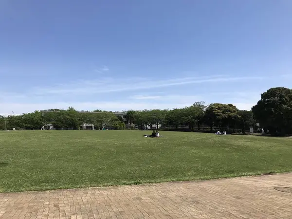 芝生が気持ち良いです。