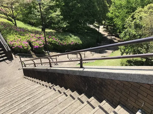 登りきったゾ〜w