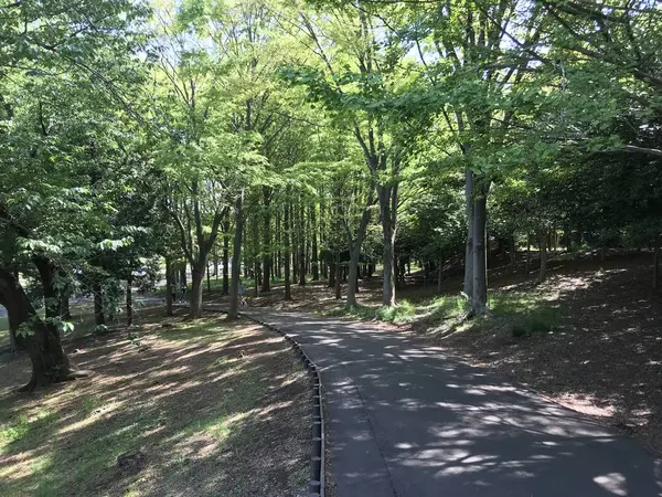 桜山地区へ